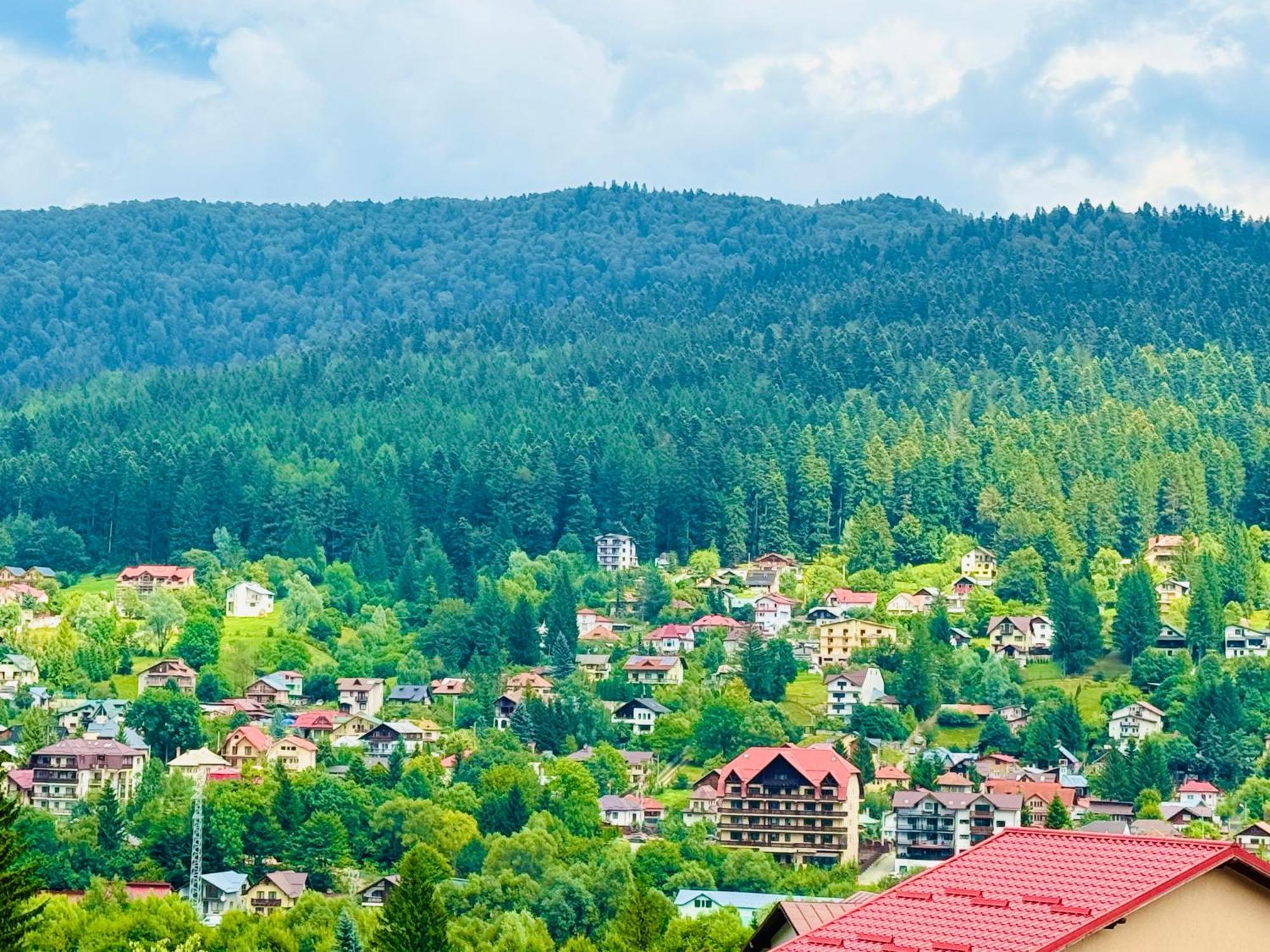 Casa Belcin Spa&Retreat Buşteni Eksteriør bilde