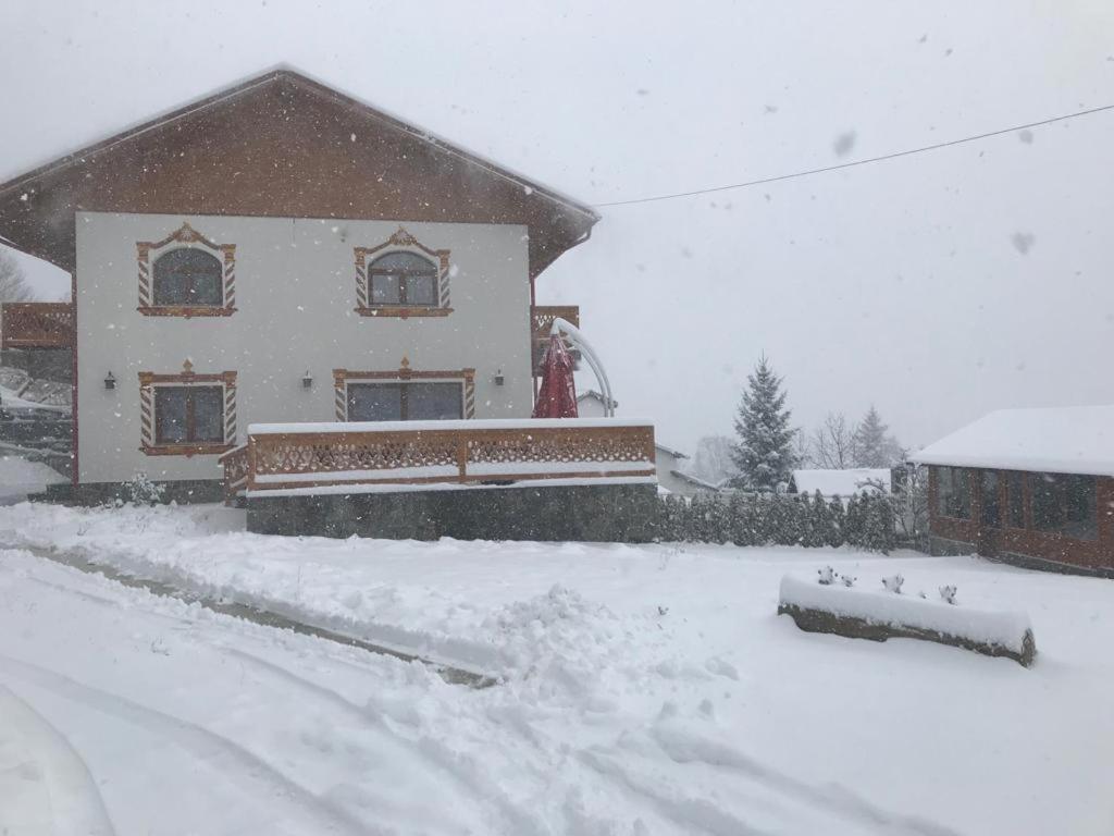 Casa Belcin Spa&Retreat Buşteni Eksteriør bilde