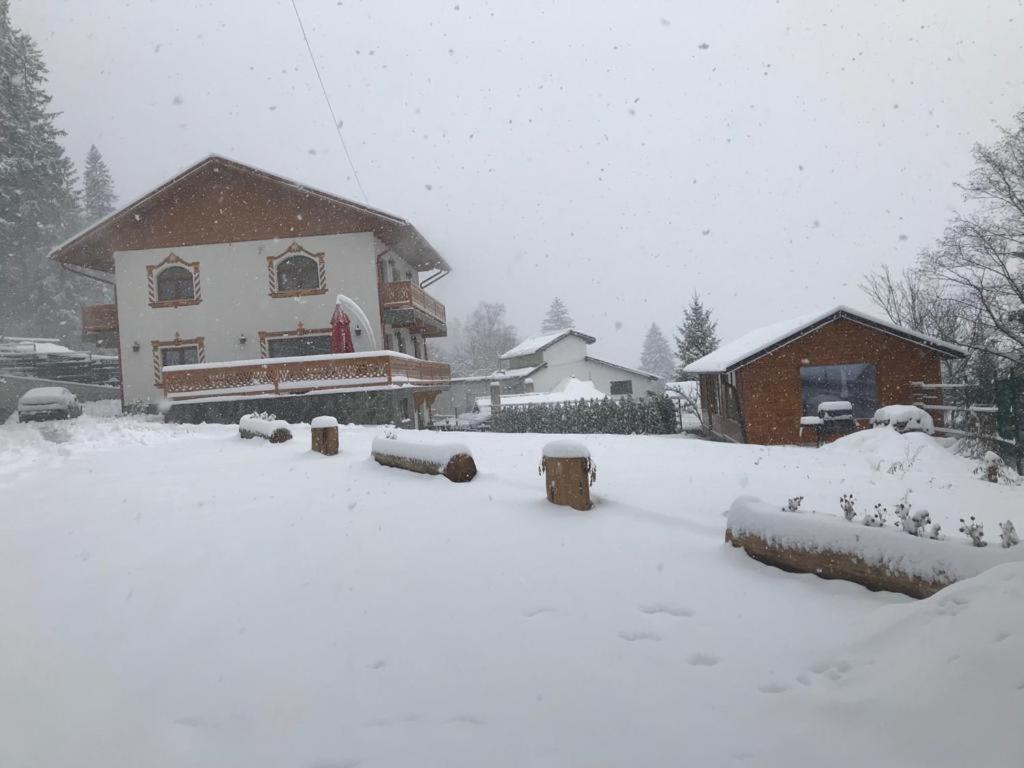 Casa Belcin Spa&Retreat Buşteni Eksteriør bilde